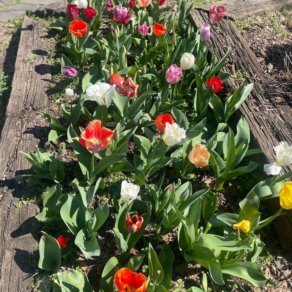 Meet your Posher, Stacie warren